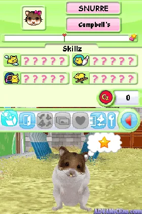 Petz - Hamsterz Superstars (USA) (En,Fr,De,Es,It,Nl,Sv,No,Da) screen shot game playing